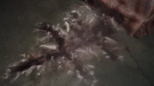 Backdrop to the movie "National Lampoon