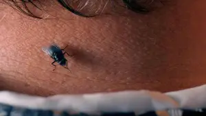 Backdrop to the movie "The Substance" #797892