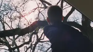 Backdrop to the movie "The Tree of Life" #852814