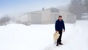 Backdrop to the movie "Only the Animals" #447765