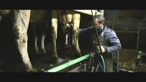 Backdrop to the movie "Violence dans les Champs" #794465