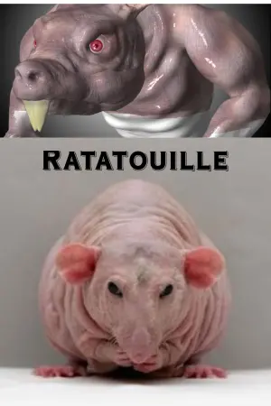 Poster to the movie "Ratatouille" #12564
