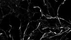 Backdrop to the movie "Dreams, Confessions and The End Of The World" #772857