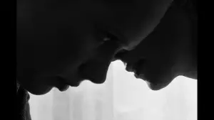 Backdrop to the movie "The Arborist" #556960