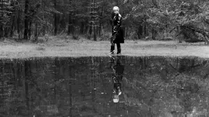 Backdrop to the movie "Persona" #705365