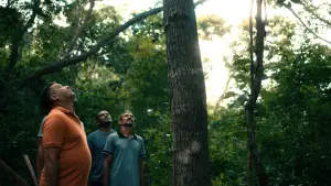 Backdrop to the movie "O Cio da Terra" #774994