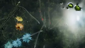 Backdrop to the movie "Annihilation" #618537