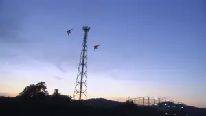 Backdrop to the movie "All About Lily Chou-Chou" #788235