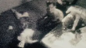 Backdrop to the movie "Lost Highway" #811575