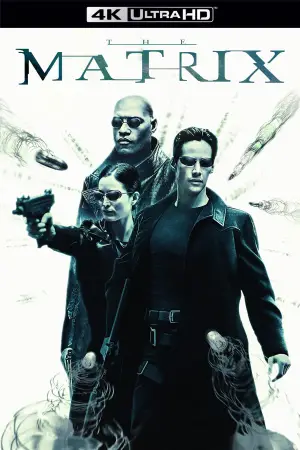 Poster to the movie "The Matrix" #526292