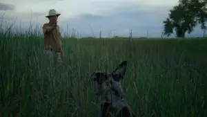 Backdrop to the movie "Badlands" #667931