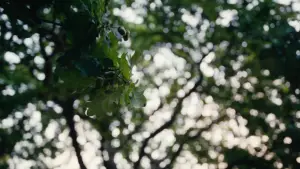 Backdrop to the movie "Together" #527927