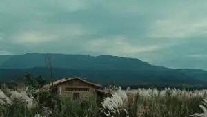 Backdrop to the movie "Roid" #685527