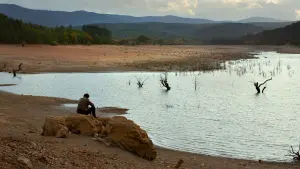 Backdrop to the movie "The Wild Pear Tree" #451593