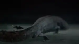 Backdrop to the movie "Axolotl" #882086