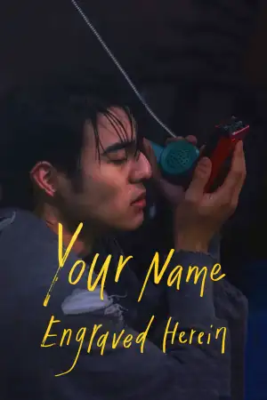 Poster to the movie "Your Name Engraved Herein" #870638
