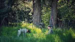 Backdrop to the movie "Acidman" #496903