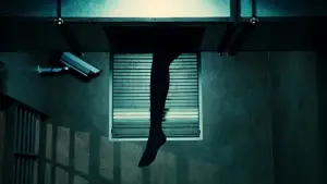 Backdrop to the movie "Colombiana" #588171