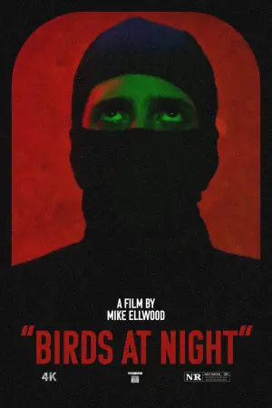 Movie poster "Birds at Night"