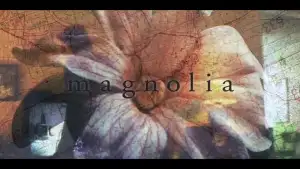 Backdrop to the movie "Magnolia" #804527