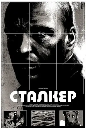 Poster to the movie "Stalker" #847163