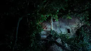Backdrop to the movie "The Princess Bride" #837106