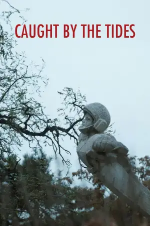 Poster to the movie "Caught by the Tides" #612009