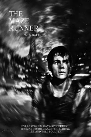 Poster to the movie "The Maze Runner" #551527