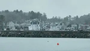 Backdrop to the movie "Manchester by the Sea" #624216