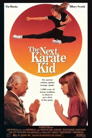 Poster to the movie "The Next Karate Kid" #63675