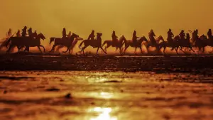 Backdrop to the movie "Blades of the Guardians" #760873