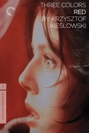 Poster to the movie "Three Colors: Red" #752151