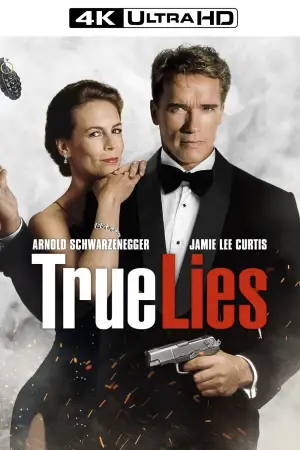 Poster to the movie "True Lies" #618679