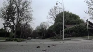 Backdrop to the movie "Halloween" #610876