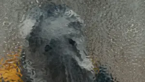 Backdrop to the movie "Cloud" #596299