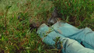 Backdrop to the movie "Memoria" #767569