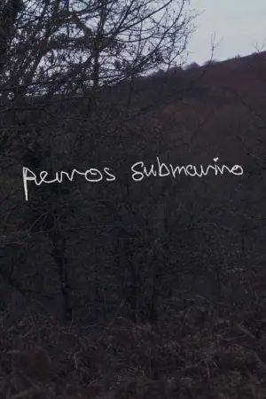 Perros submarino