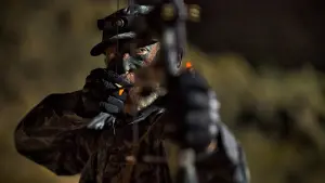 Backdrop to the movie "Palm Springs" #223758