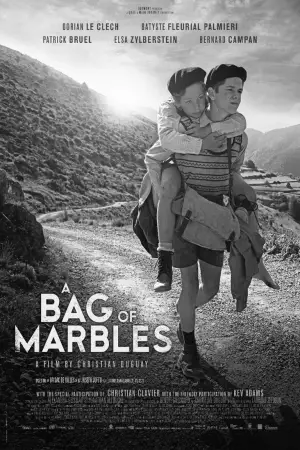 Poster to the movie "A Bag of Marbles" #753312
