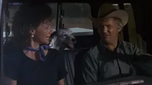 Backdrop to the movie "Texasville" #765288