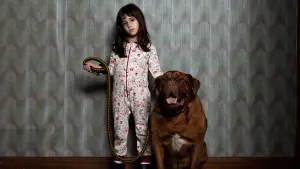 Backdrop to the movie "When Evil Lurks" #163061