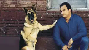 Backdrop to the movie "K-911" #948895