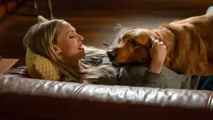 Backdrop to the movie "The Art of Racing in the Rain" #716548