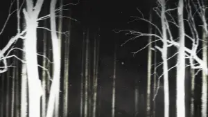 Backdrop to the movie "Shelby Oaks" #522799