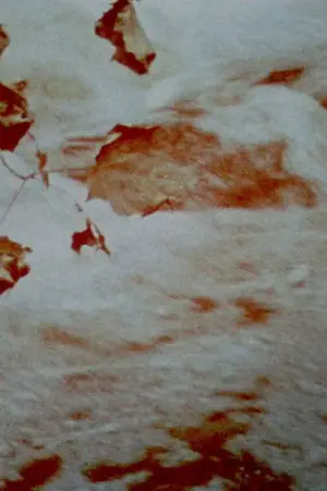 Poster to the movie "Charmides" #689408