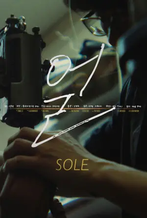 Poster to the movie "Sole" #688806