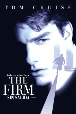 Poster to the movie "The Firm" #658567