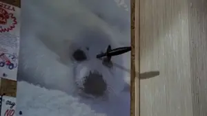 Backdrop to the movie "A Fish Called Wanda" #807951