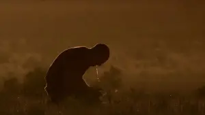 Backdrop to the movie "Wolf Creek" #612966