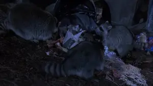 Backdrop to the movie "The Great Outdoors" #287469